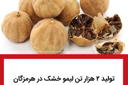 تولید ۲ هزار تن لیمو خشک در هرمزگان
