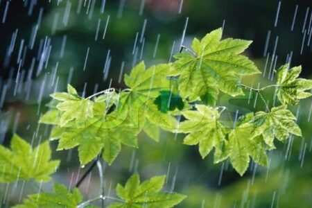 ادامه بارش های بهاری در  هرمزگان
