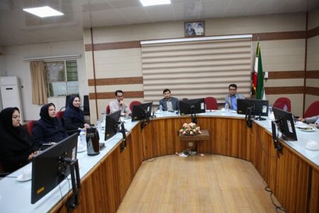 تأکید بر هم‌افزایی دستگاه‌ها در نشست دانشگاهی پیشگیری از سقط در هرمزگان