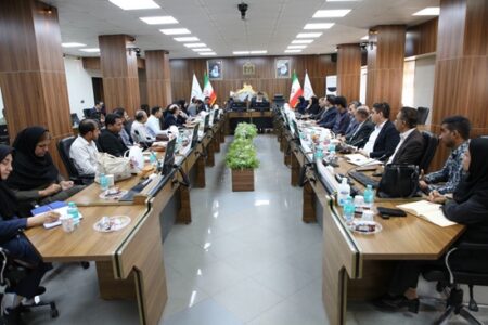 در اجلاس رؤسای بیمارستانهای دانشگاهی استان صورت گرفت؛ برنامهریزی جامع دانشگاه علوم پزشکی هرمزگان برای ارتقای کیفیت خدمات درمانی و آمادگی نوروزی